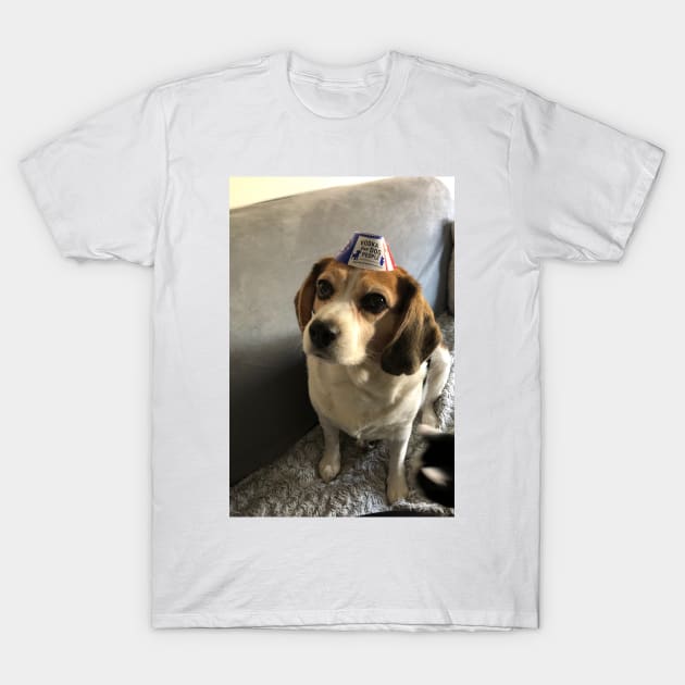 Beagle in a Vodka Hat T-Shirt by Layla's Surgery Fundraiser